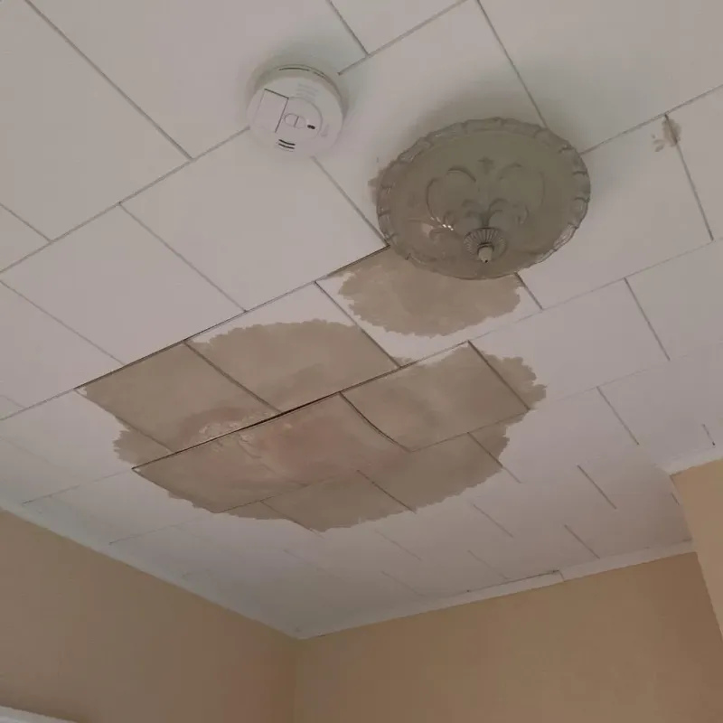 Ceiling Water Damage Repair in Davie County, NC