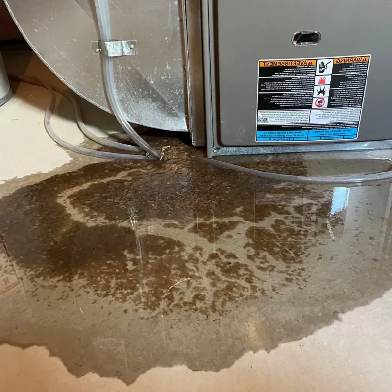 Pipe Burst and Leak Restoration in Davie County, NC