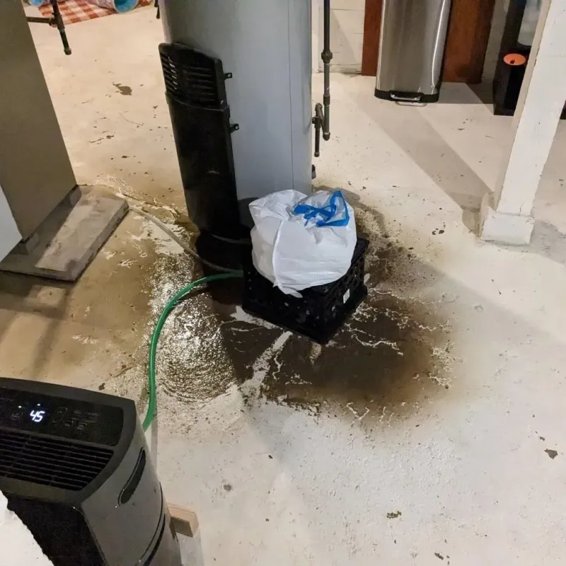 Sewage Backup Cleanup Service in Davie County, NC